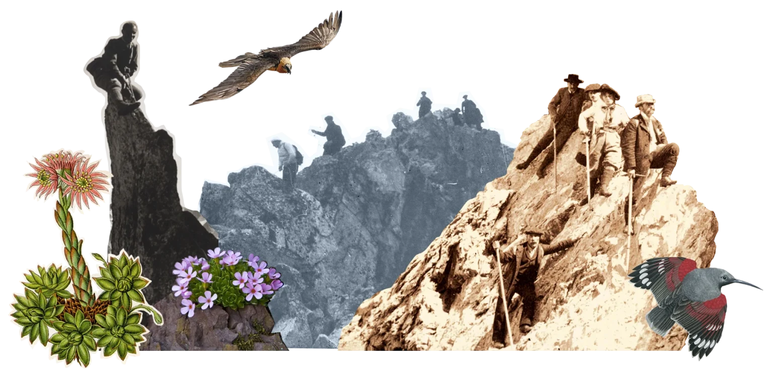 CRESTAS EN PIRINEOS